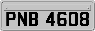 PNB4608