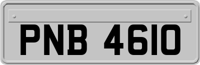 PNB4610
