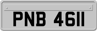 PNB4611