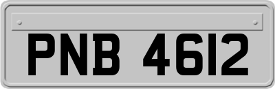 PNB4612