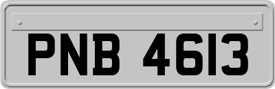PNB4613