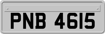 PNB4615
