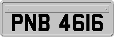 PNB4616