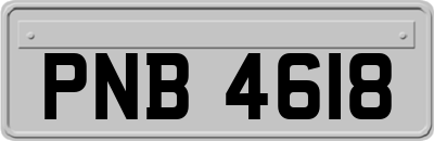 PNB4618