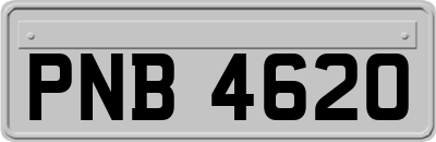 PNB4620