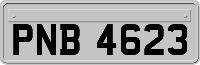 PNB4623