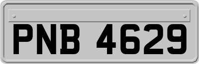 PNB4629