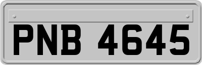 PNB4645