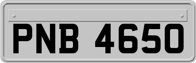 PNB4650
