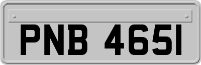 PNB4651