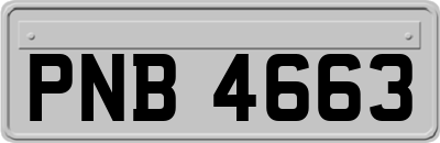 PNB4663