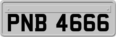 PNB4666