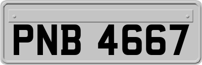 PNB4667