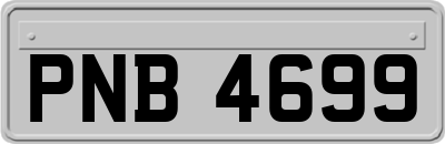 PNB4699