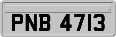PNB4713