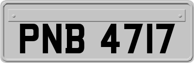 PNB4717