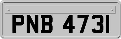PNB4731