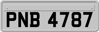 PNB4787