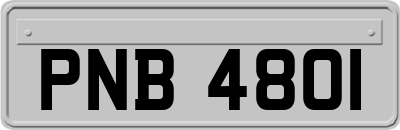 PNB4801
