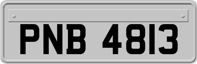 PNB4813