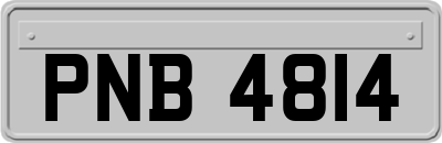 PNB4814