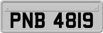 PNB4819