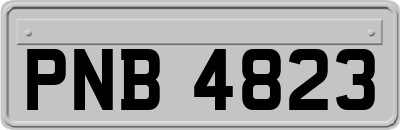 PNB4823