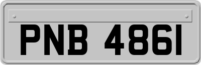 PNB4861