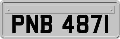 PNB4871