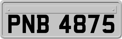 PNB4875