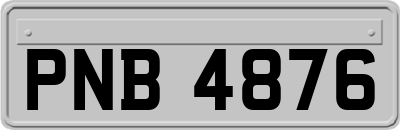 PNB4876