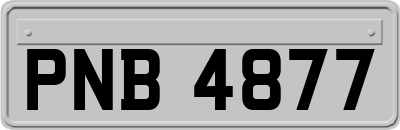 PNB4877