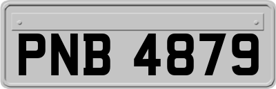 PNB4879