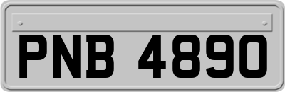 PNB4890