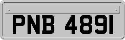 PNB4891