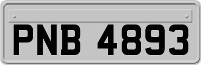 PNB4893