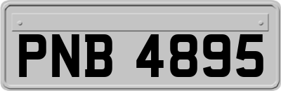 PNB4895