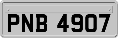 PNB4907