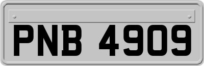 PNB4909