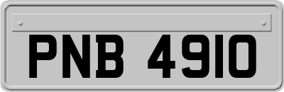PNB4910