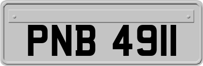 PNB4911