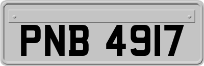PNB4917