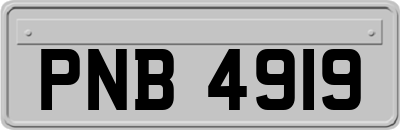 PNB4919
