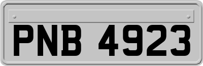 PNB4923