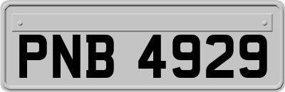 PNB4929