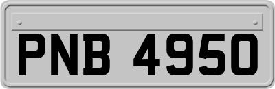 PNB4950