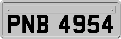 PNB4954