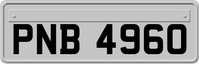 PNB4960