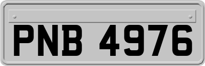 PNB4976