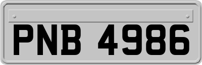 PNB4986